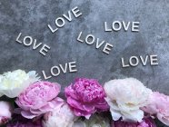 Pfingstrosen auf grauem Hintergrund rund um die Worte Liebe — Stockfoto
