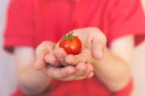 Menino segurando um tomate — Fotografia de Stock