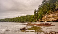Mystic Beach, Vancouver Island, Columbia Britannica, Canada — Foto stock