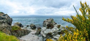 Прибрежный ландшафт, остров Арран, Шотландия, Великобритания — стоковое фото
