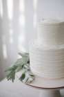 Simple two tiered wedding cake with icing and olive branch decoration — Stock Photo