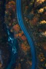 Vista aérea de um carro que atravessa uma floresta de Outono, Salzburgo, Áustria — Fotografia de Stock