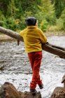 Мальчик, стоящий на скале у реки, США — стоковое фото