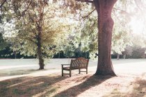 Panchina vuota in un parco — Foto stock