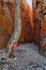 Reisenden in Standley Chasm, West MacDonnell National Park, Northern Territory, Australien — Stockfoto