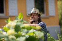 Mann steht in einem Garten und schneidet Pflanzen zurück — Stockfoto