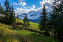 Paisaje de montaña, Región de Jungfrau, Alpes berneses, Suiza - foto de stock