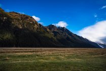 Эллингтон-Вэлли, Национальный парк Фьордленд, Саутленд, Южный остров, Новая Зеландия — стоковое фото