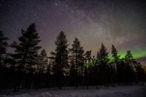 Long exposure shot of Northern Lights over winter forest landscape, Lapland, Finland — Stock Photo