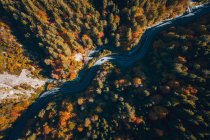 Veduta aerea di una macchina che attraversa una foresta autunnale, Salisburgo, Austria — Foto stock