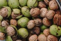 Pile of walnuts close up — Stock Photo
