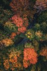 Aerial view of a road through an autumn forest, Salzburg, Austria — Stock Photo