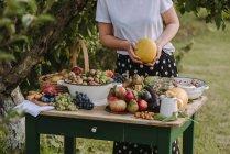 Cropped shot of woman by table with fresh fruit and vegetables — Stock Photo