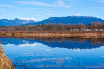 Reflexiones de montaña en Burnaby Lake, Columbia Británica, Canadá - foto de stock