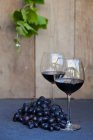 Due bicchieri di vino rosso accanto a un grappolo d'uva — Foto stock