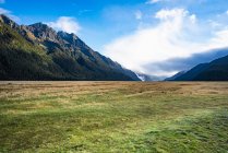 Ellington Valley, Fiordland National Park, Southland, South Island, Nova Zelândia — Fotografia de Stock