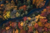 Aerial view of a car driving through an autumn forest, Salzburg, Austria — Stock Photo