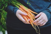 Jovem mulher segurando cenouras recém-colhidas — Fotografia de Stock