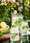 Кувшин и банки с лимонадом на столе в саду — стоковое фото