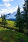 Гірський ландшафт, регіон Юнгфрау, Бернські Альпи, Швейцарія. — стокове фото