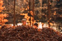 Dois meninos brincando em uma pilha de folhas de outono, EUA — Fotografia de Stock