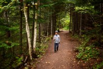 Хлопець, що гуляє лісом, США. — стокове фото