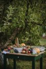Садовий стіл зі свіжими фруктами, овочами та горіхами — стокове фото