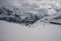 Train traversant le paysage montagneux, région de Jungfrau, Alpes bernoises, Suisse — Photo de stock