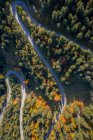 Luftaufnahme von Autos, die auf einer kurvenreichen Straße durch einen Herbstwald fahren, Salzburg, Österreich — Stockfoto