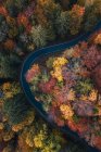Vista aérea de um carro que atravessa uma floresta de Outono, Salzburgo, Áustria — Fotografia de Stock