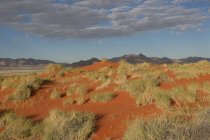 Paesaggio desertico, Namib-Naukluft National Park, Namibia — Foto stock