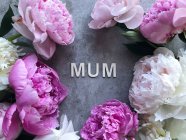 Peônias em um fundo cinza em torno da palavra mãe — Fotografia de Stock