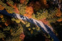 Вид с воздуха на автомобиль, проезжающий через осенний лес, Зальцбург, Австрия — стоковое фото