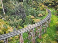 The Monbulk Creek Trestle bridge, Dandenong Ranges, Victoria, Australia - foto de stock