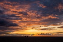 Silhouettes of two people riding horses on beach at sunset, Tarifa, Cadiz, Andalusia, Spain — Stock Photo