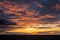 Siluetas de dos personas a caballo en la playa al atardecer, Tarifa, Cádiz, Andalucía, España - foto de stock