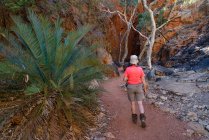 Femme voyageuse dans Standley Chasm, West MacDonnell National Park, Territoire du Nord, Australie — Photo de stock