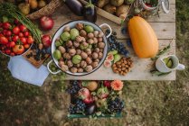 Overhead view of Autumn Fruit and vegetable arrangement on a garden table, Serbia — Stock Photo