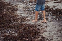 Gros plan d'un garçon marchant pieds nus sur la plage, Danemark — Photo de stock