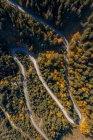 Вид с воздуха на автомобили, проезжающие по извилистой дороге через осенний лес, Зальцбург, Австрия — стоковое фото