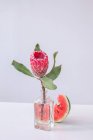 Protea fiore in un vaso accanto a una fetta di anguria — Foto stock