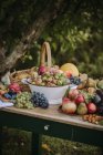 Садовый стол со свежими фруктами, овощами и орехами — стоковое фото