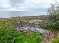 Costa rocosa, Isla de Arran, Escocia, Reino Unido - foto de stock