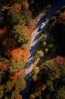 Vista aérea do carro que conduz através de uma floresta de outono, Salzburgo, Áustria — Fotografia de Stock