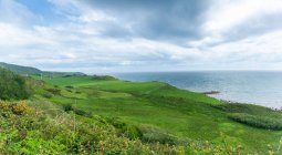 Прибережний ландшафт, острів Арран, Шотландія, Велика Британія — стокове фото