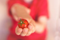 Мальчик держит помидор — стоковое фото