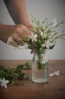 Woman Arranging flowers in a glass vase — Stock Photo
