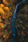 Vista aérea de un río que atraviesa un bosque otoñal, Salzburgo, Austria - foto de stock