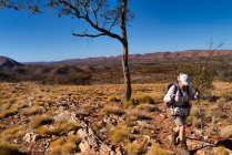 Woman Hiking on the Larapinta Trail, West MacDonnell National Park, Território do Norte, Austrália — Fotografia de Stock