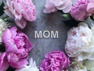 Peonías sobre un fondo gris alrededor de la palabra Mamá - foto de stock